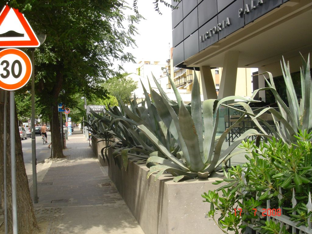 CattolicaHotelVictoriaPalace 102